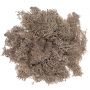 Mech naturalny dpCraft Brązowy, 30g - 2